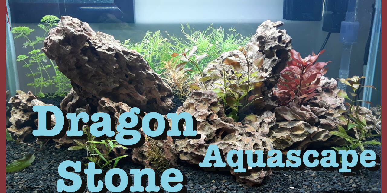 My 80cm Dragon Stone Aquascape