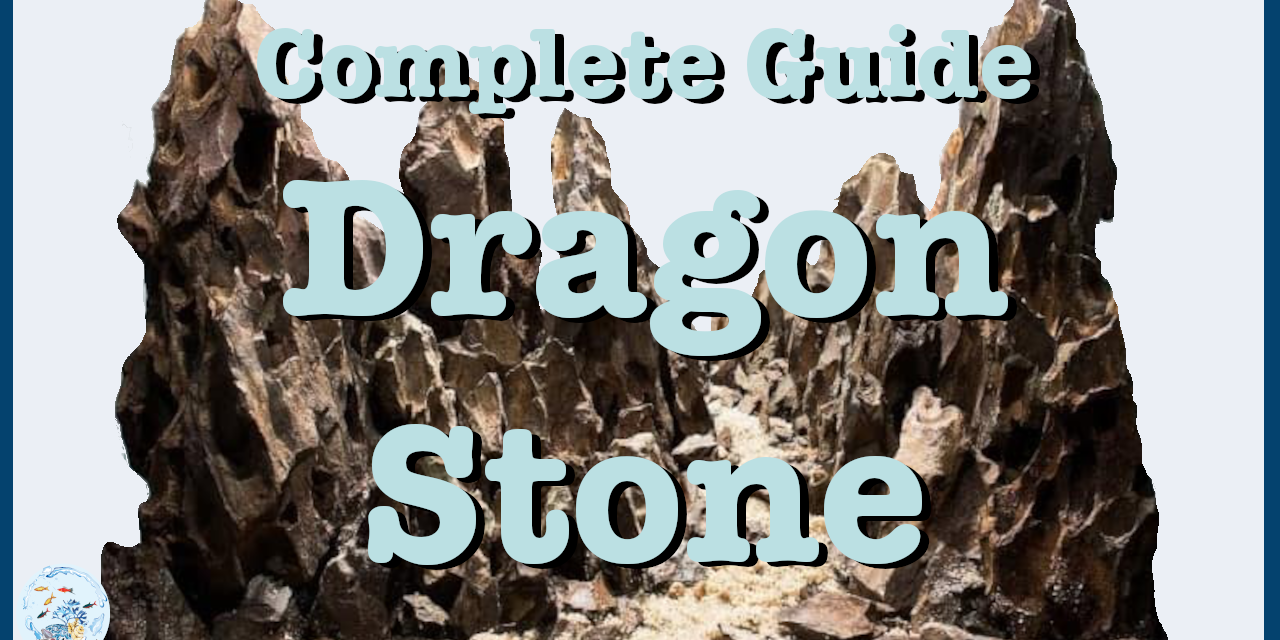 Dragon Stone Aquascaping | Complete Guide