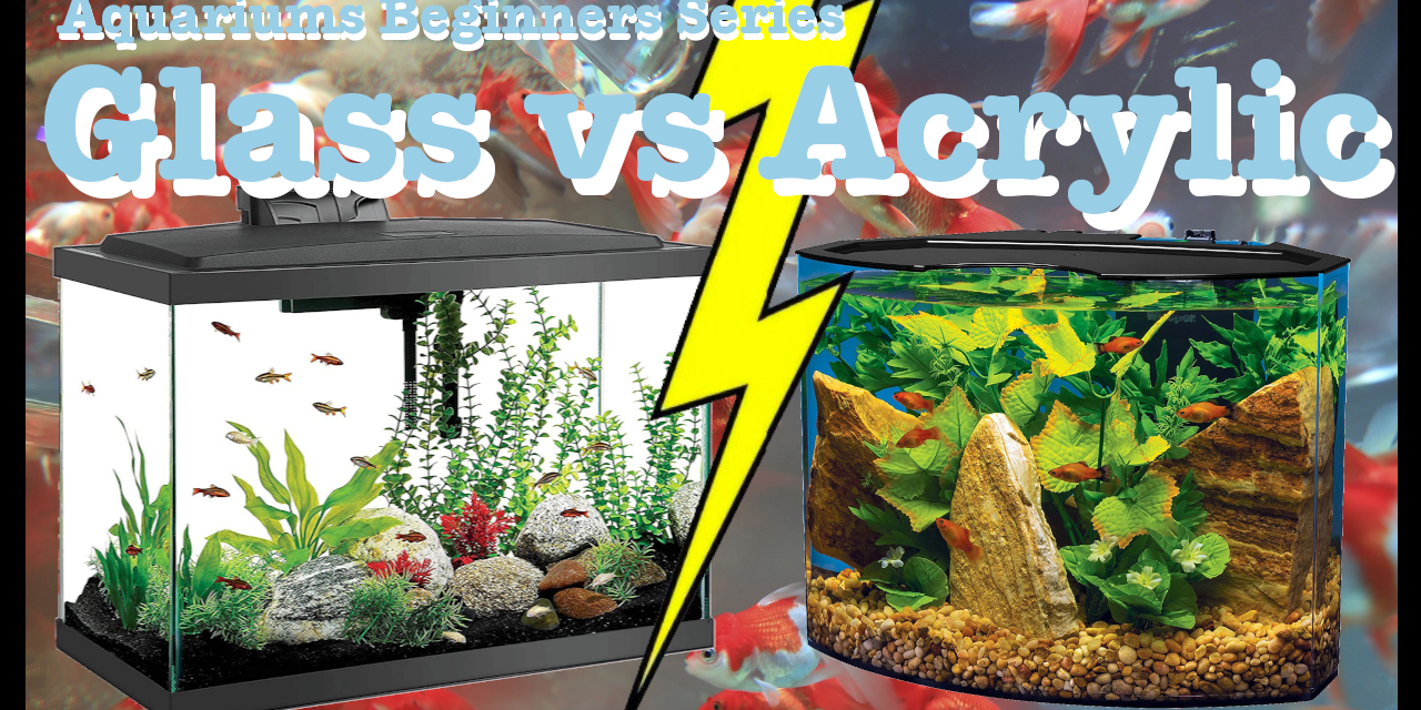 🐟 Aquarium Tanks Glass versus Acrylic | Aquariums Beginners Guide Series | Episode 002 🐠