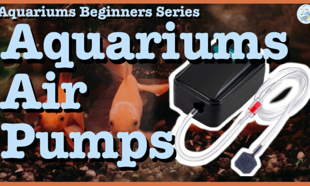 ☁️ Aquariums Air Pumps | Aquariums Beginners Series | Episode 004 ☁️