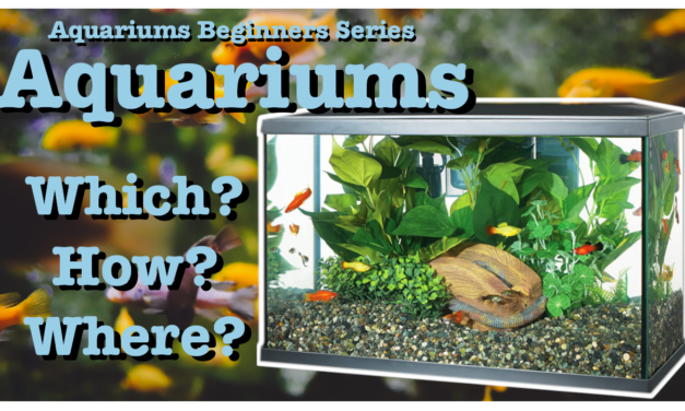 🐟 Aquarium Tanks Complete Guide | Aquariums Beginners Guide Series | Episode 003 🐠