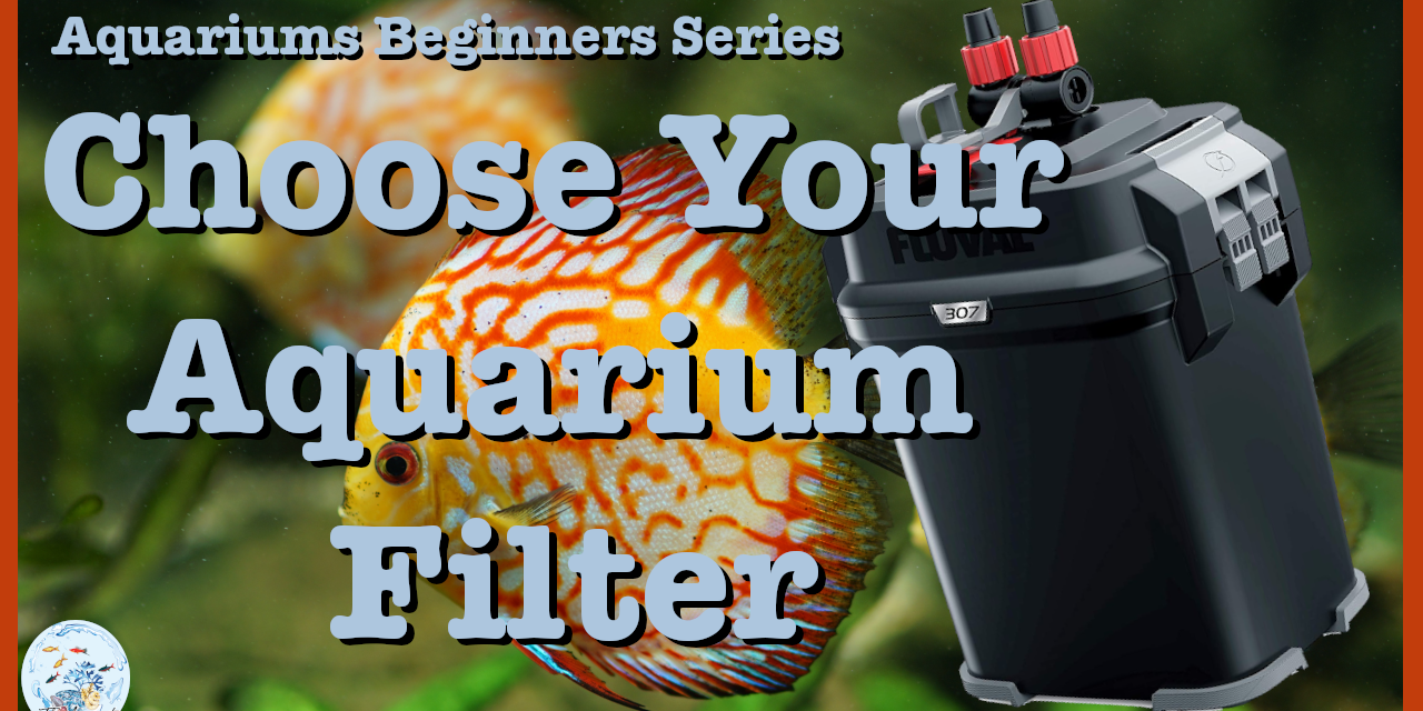🗑 How to Choose an Aquarium Filter | Aquariums Beginners Series | Episode 005 🗑