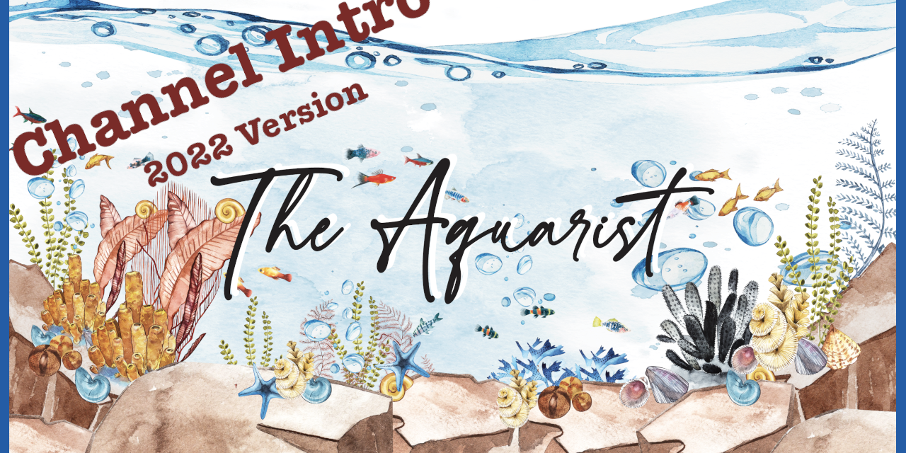 ❤️ The Aquarist 2022 Channel Intro ❤️