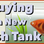 🐠🌿 Buying a New Fish Tank | Aquariums Beginners Series | Episode 007 🍀🐟