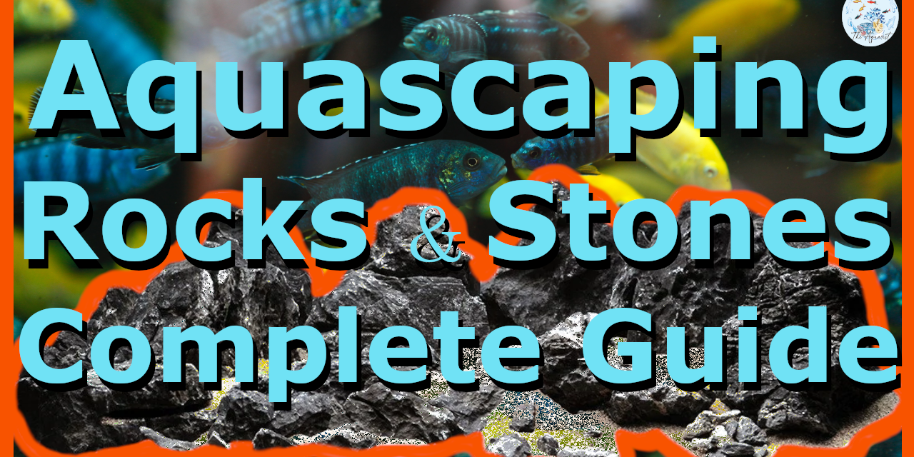 🐚 Everything about Aquascaping Rocks & Stones 🐚
