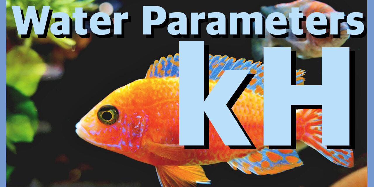 💦 Water Parameters – How to measure and control aquarium KH 💦