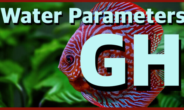 💦 Water Parameters – How to measure and control aquarium GH 💦