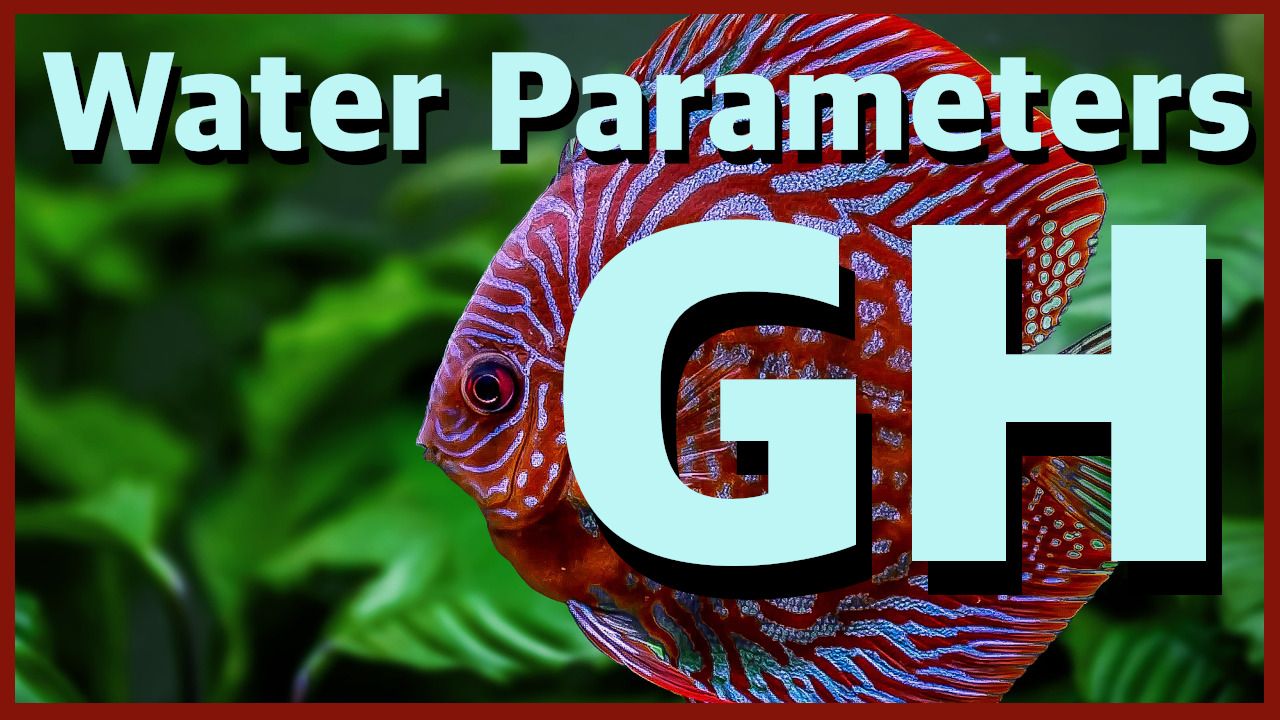 💦 Water Parameters - How to measure and control aquarium GH 💦 - The ...