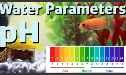 💦 Water Parameters – How to measure and control aquarium PH 💦